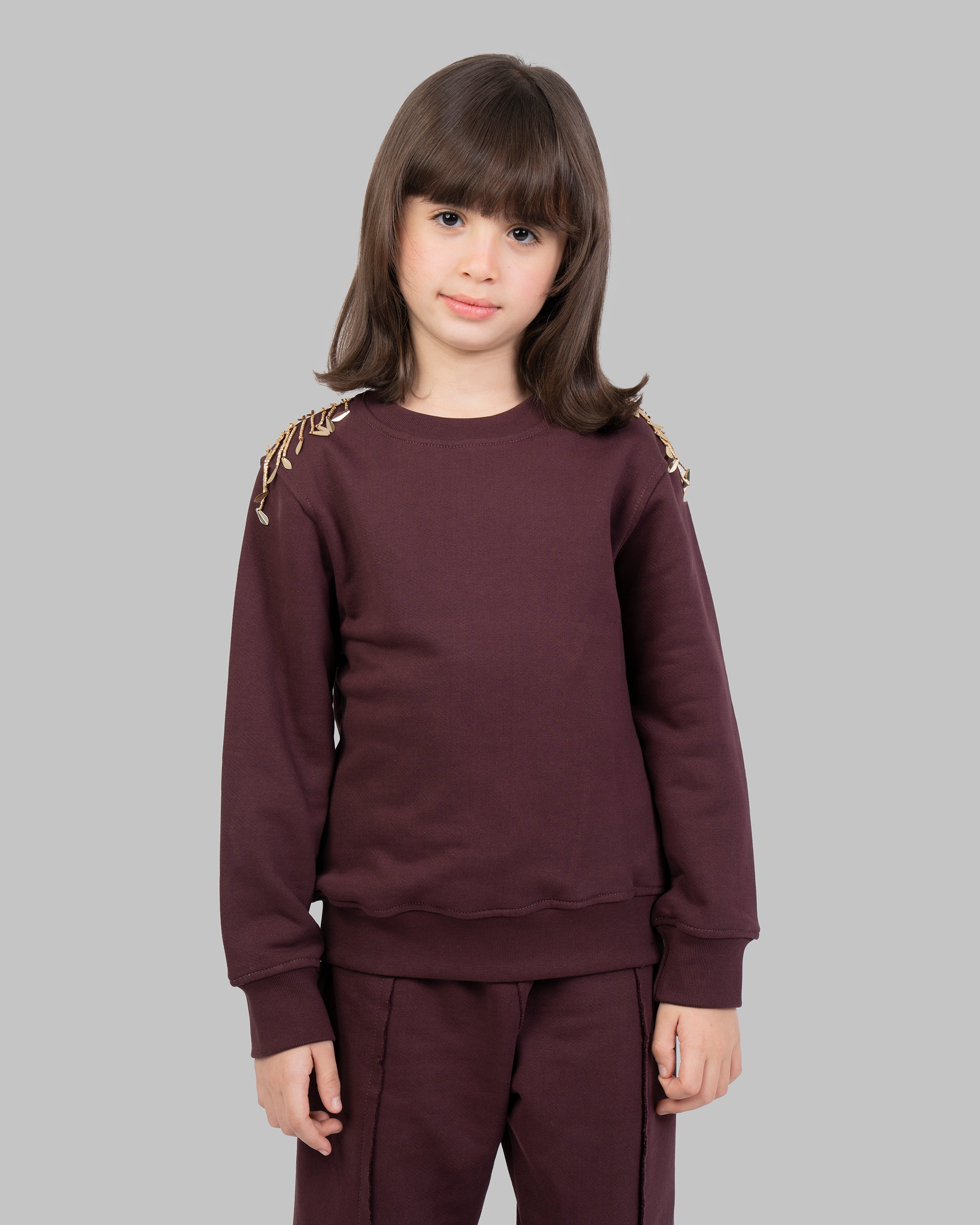 سويت شيرت فاخر